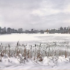 Weiher im Winter