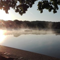 Stadtweiher im Morgendunst