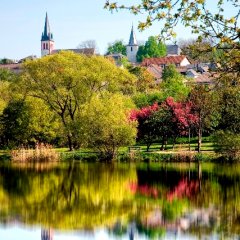 Weiher mit Baumblüte im Frühjahr