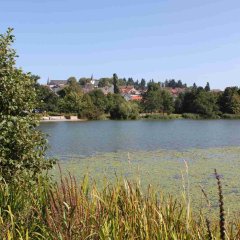 Weiher mit Stadtausblick