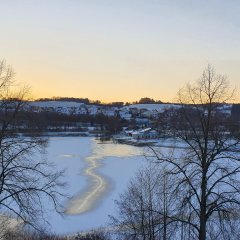 Zugefrorener Stadtweiher