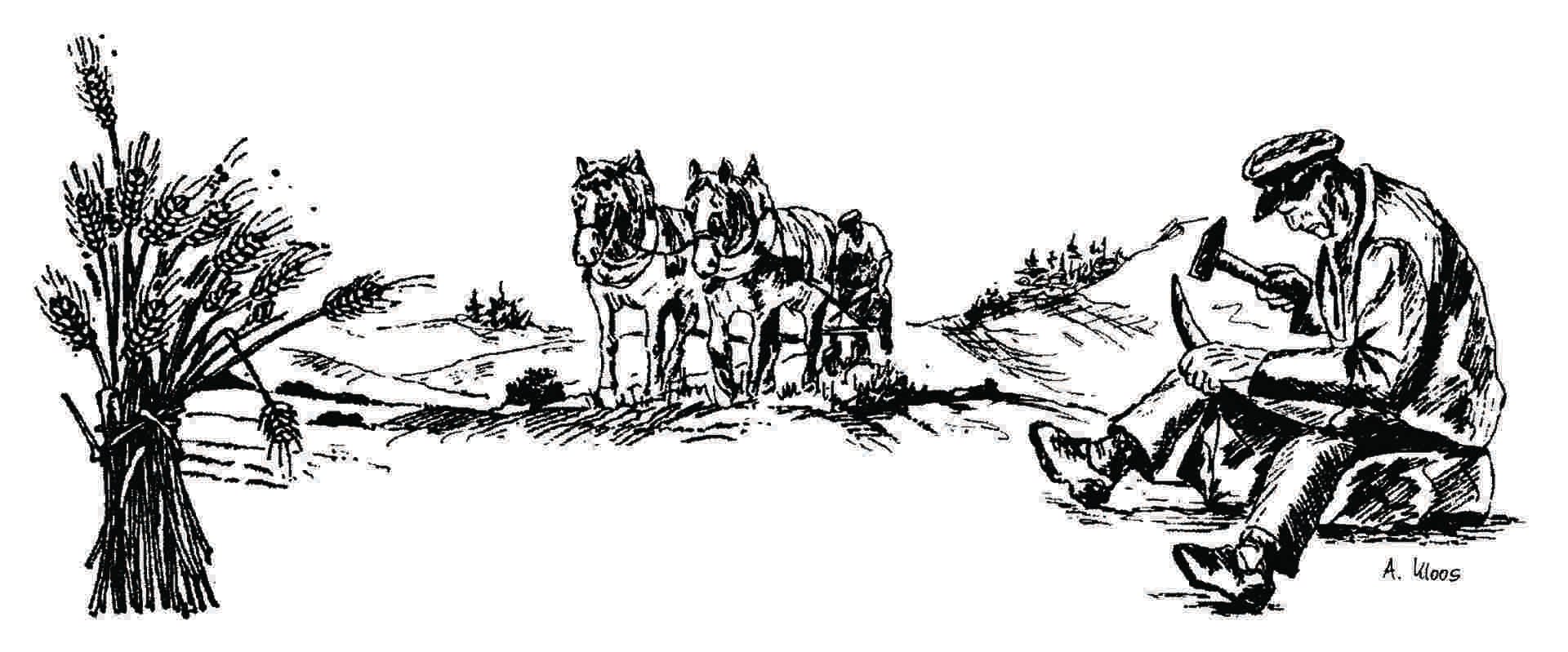 Logo des Bauernmarkts Berglangenbach