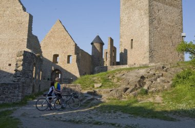 Burg Lichtenberg  bei Kusel