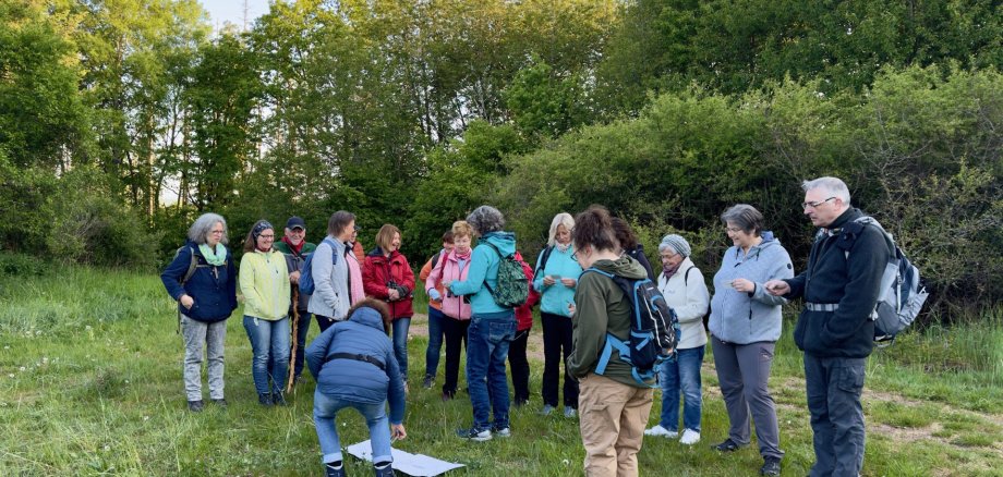 Eine Wandergruppe steht am frühen Morgen auf einer Wiese bei der Morgentauwanderung in Heimbach 