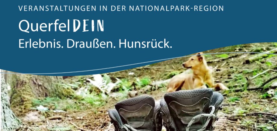 Wanderschuhe und Hund - QuerfelDEIN