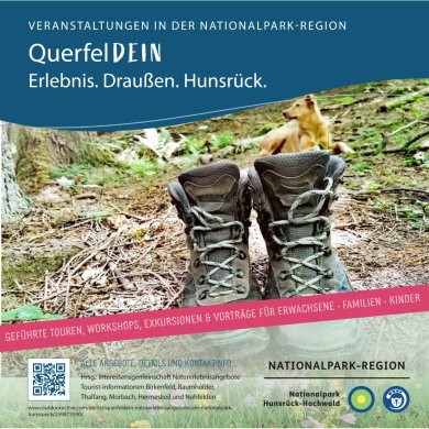 Wanderschuhe und Hund - QuerfelDEIN Wanderschuhe und Hund - QuerfelDEIN