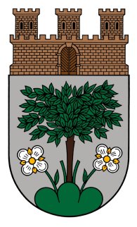 Wappen Stadt Baumholder Wappen Stadt Baumholder