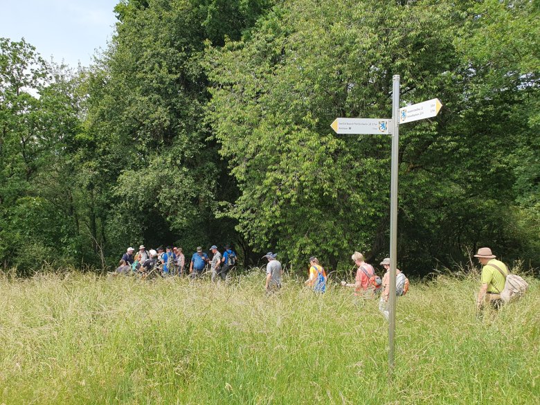 Wandergruppe unterwegs auf dem Historischen Amtsweg Burg Lichtenberg Wandergruppe unterwegs auf dem Historischen Amtsweg Burg Lichtenberg