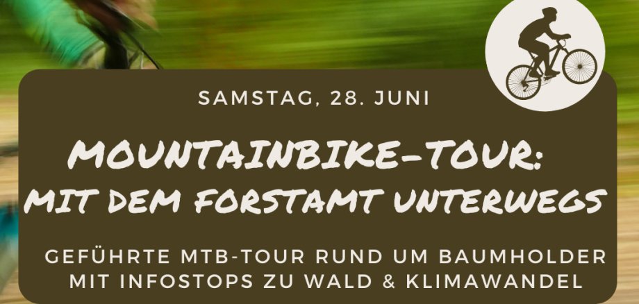 Insta - MTB Tour Forst 28.06. - 1
