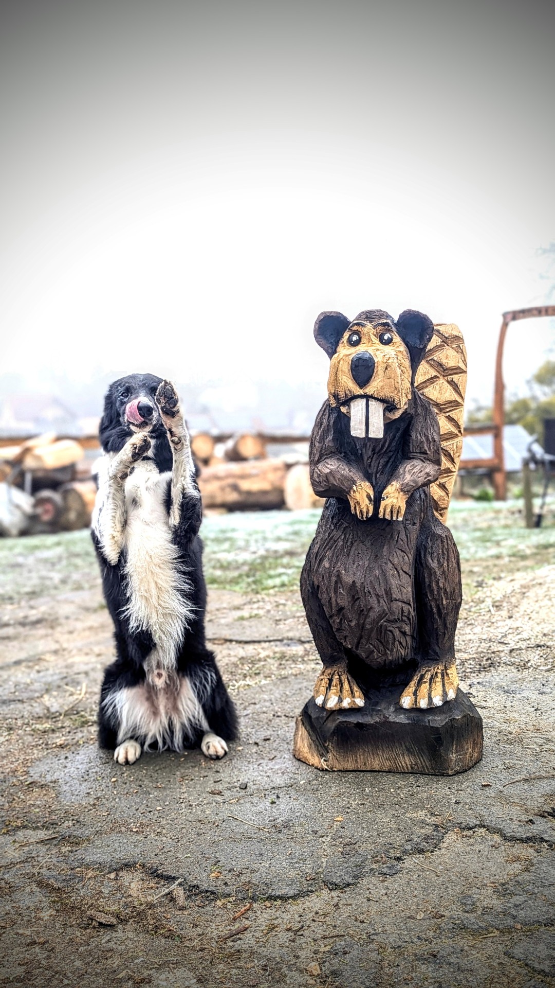 Holzfigur Biber für die Traumschleife Gräfin Loretta in Frauenberg