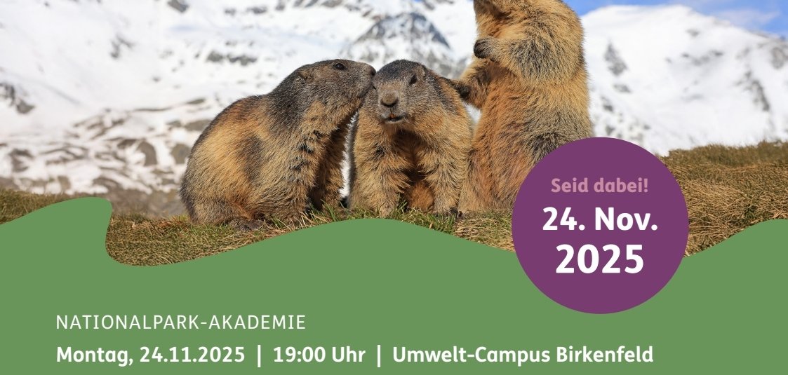 Nationalpark-Akademie November 2025 - Schützenswert - nicht nur im Nationalpark Plakat