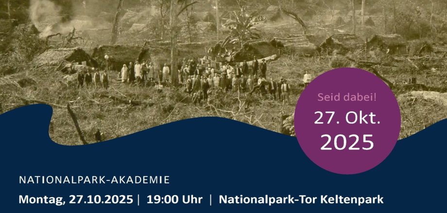 Nationalpark-Akdademie Von Bäumen und Menschen - 27.10.2025 Keltenpark