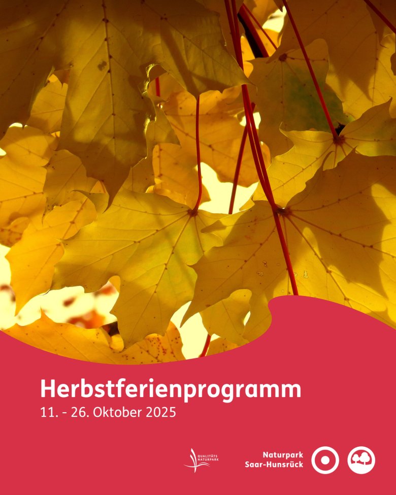 K_Herbstferienprogramm - A K_Herbstferienprogramm - A