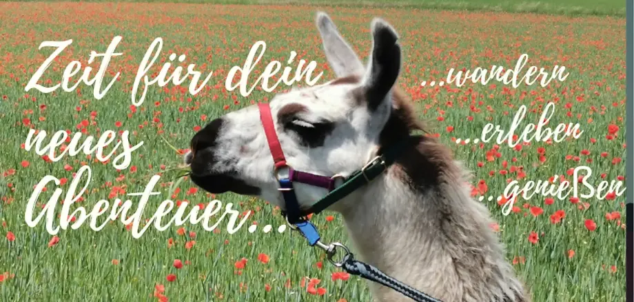 Lamawanderung am Muttertag rund um Nohen