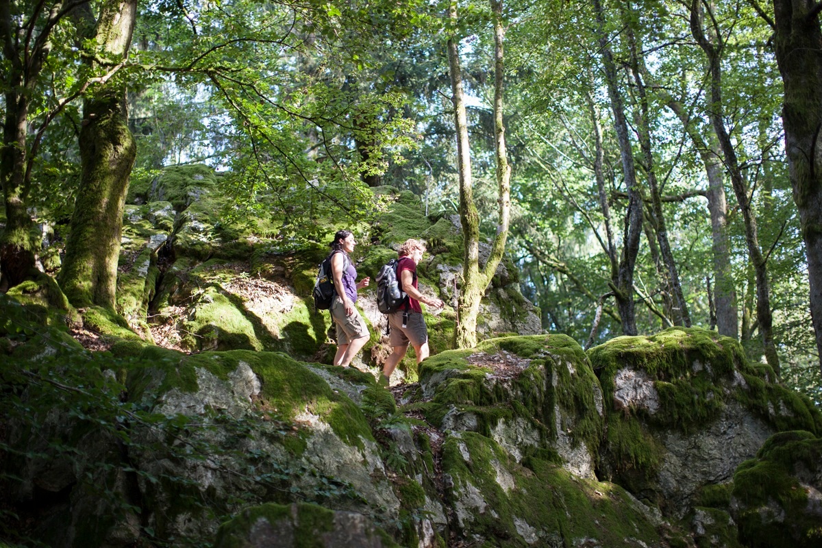 Tag der Parke Naturpark Saar-Hunsrück - Nationalpark Hunsrück-Hochwald