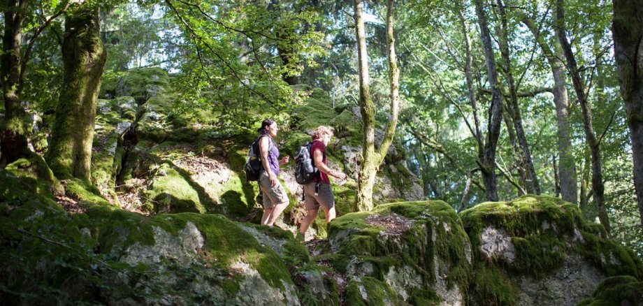Tag der Parke Naturpark Saar-Hunsrück - Nationalpark Hunsrück-Hochwald