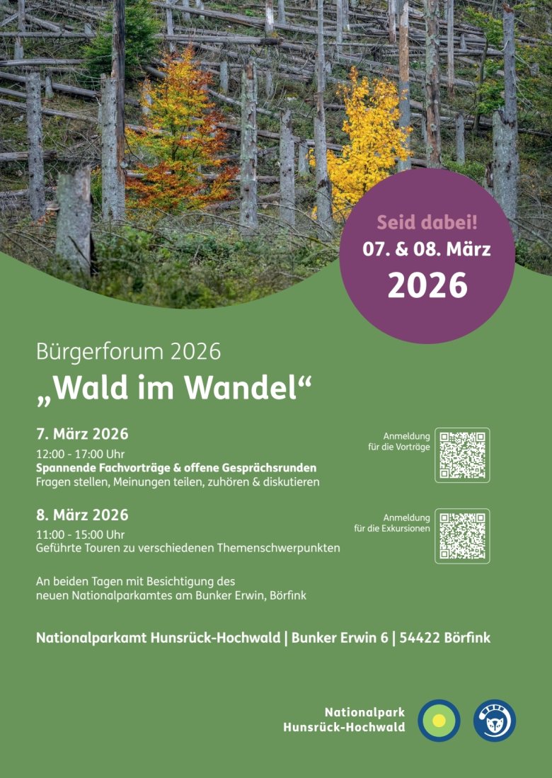 Werbeplakat zum Bürgerforum Wald im Wandel im Nationalpark Hunsrück-Hochwald
