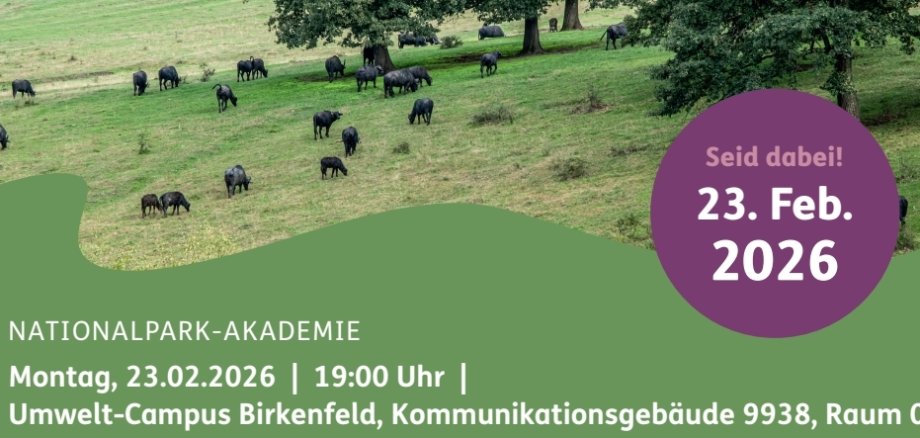 Ausschnitt Plakat NLP Akademie  Agroforst 2.0 Traditon trifft Zukunft 23.02.2026.jpg