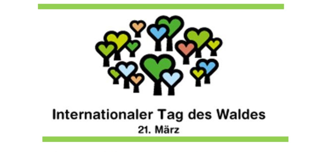 Plakat mit Infos zum Internationalen Tag des Waldes am 21. März 2026 - Forstamt Birkenfeld