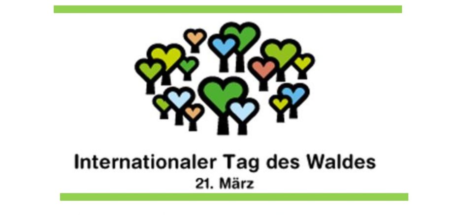 Plakat mit Infos zum Internationalen Tag des Waldes am 21. März 2026 - Forstamt Birkenfeld