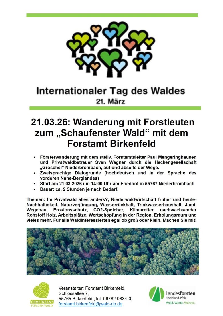 Plakat mit Infos zum Internationalen Tag des Waldes am 21. März 2026 - Forstamt Birkenfeld