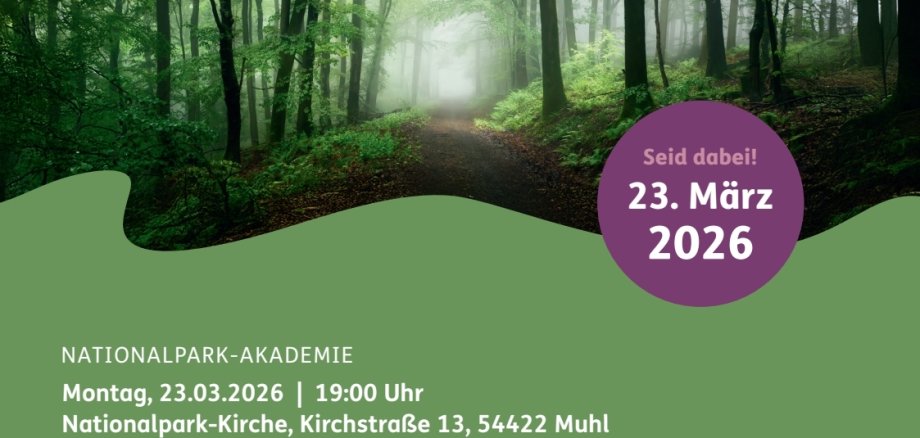 Nationalpark Akademie Spirituelle Orte am 23.03.2026 in Muhl um 19:00 Uhr. Kirchstraße 13, 54422 Muhl