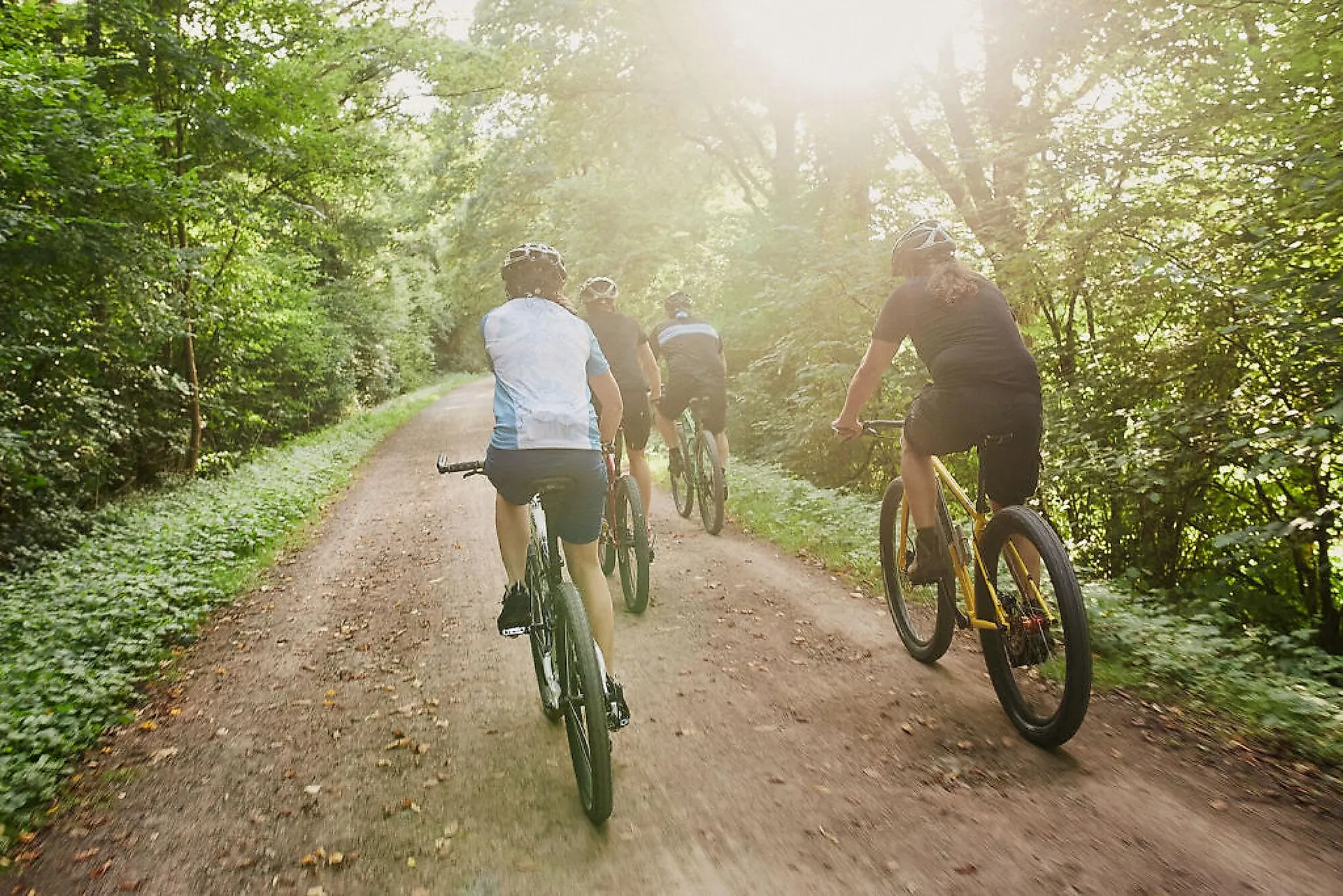 Radfahrer auf einem Waldweg - Peter Bender