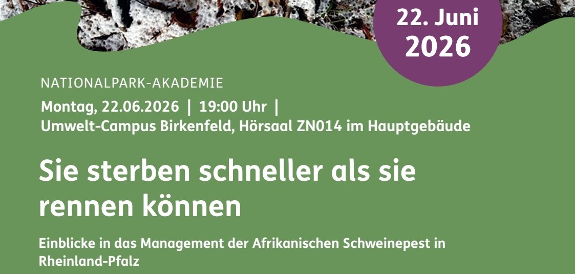 Nationalpark Akademie Sie sterben schneller als sie rennen können 22.06.2026