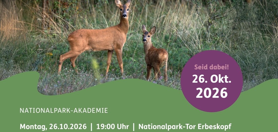 Nationalpark Akademie Bambi oder Bäumchenfresser- das Reh! 26.10.2026
