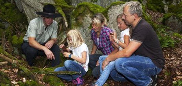 Unterwegs mit dem Ranger im Nationalpark Hunsrück-Hochwald