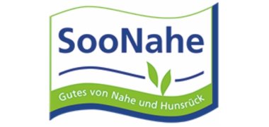 Logo Regionalinitiative SooNahe