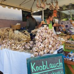 Knoblauch auf dem Bauernmarkt in Berglangenbach
