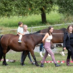 Ponyreiten auf dem Bauernmarkt in Berglangenbach. Ein Mädchen führt ein braunes Pony auf dem ein kleiner Junge sitzt, der von seiner Mutter gestütz wird.