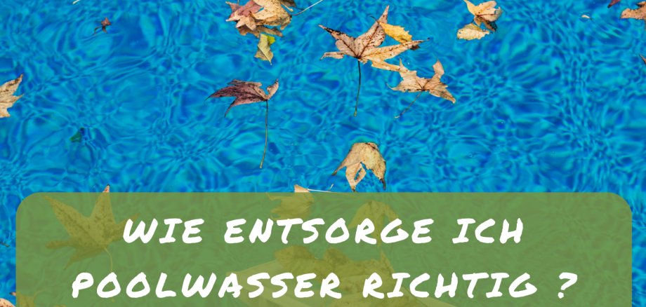Poolwasser richtig entsorgen